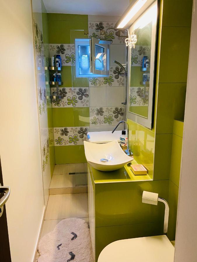 City Center Apartment Timisoara Exterior foto